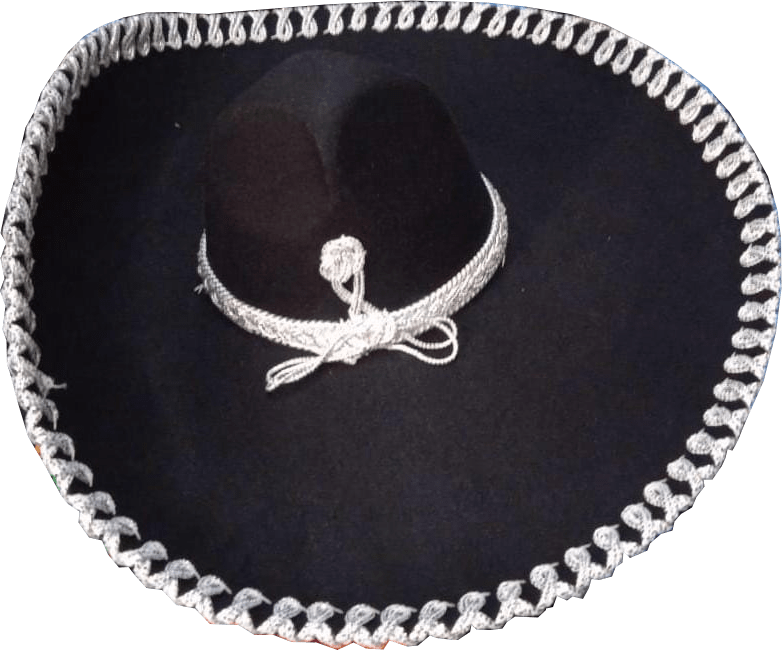 Sombrero Charro Simple Negro con Plata