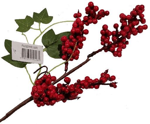 [FLQ09350R] Berry De 35cm Rojo