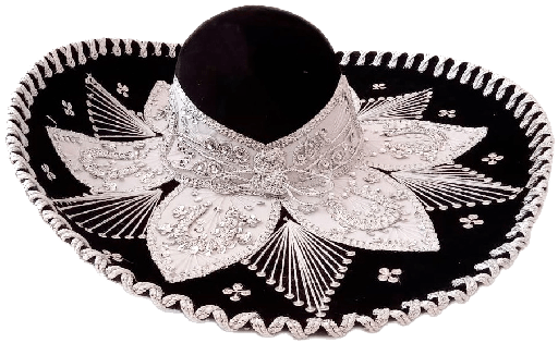 [FL20NGPT] Sombrero Charro Fino Negro con Plata